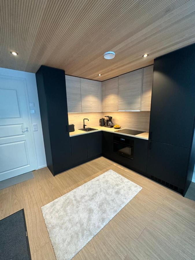 Levi Aurora Sky Villa Dış mekan fotoğraf